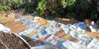 Як мульчувати ділянку газетами