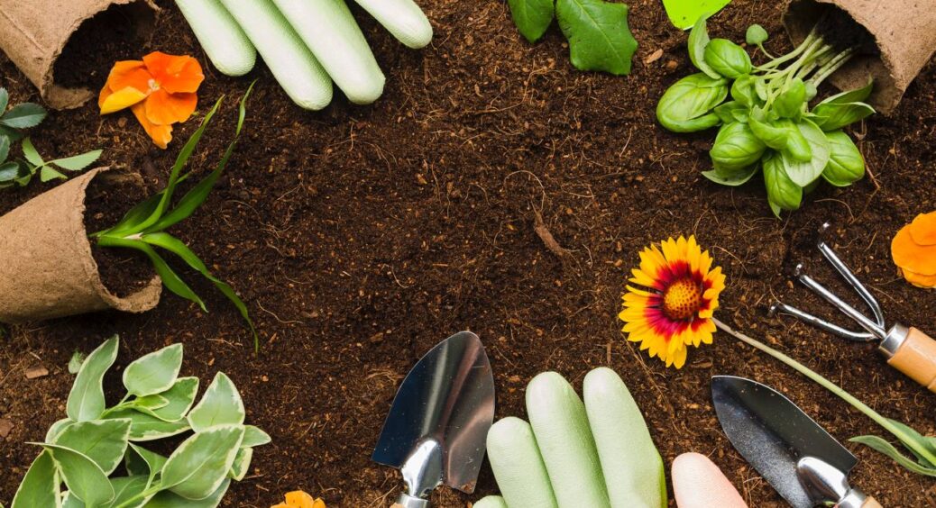 П’ятірка осінніх турбот: простий план дій, що зробить ваш сад зіркою району наступного сезону. Перевірте! 