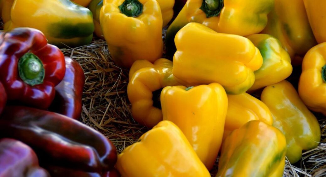 Урожай збираю відрами: городниця з 30-річним стажем назвала 2 невибагливих сорти перців – посадив і забув 