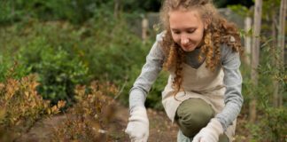 Садівники розповіли про потужне добриво для городу