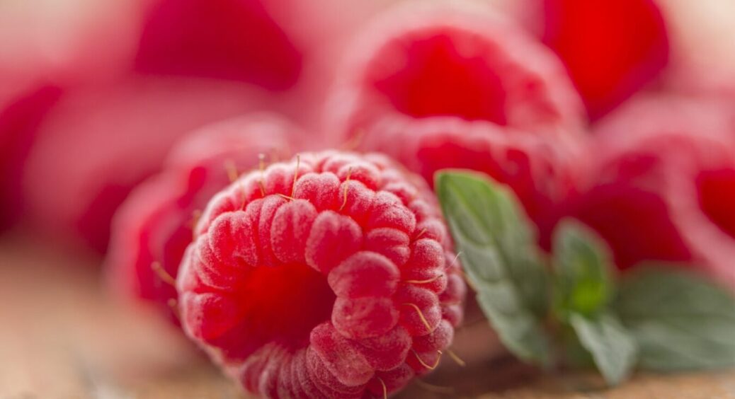 Це працює вже 5 років поспіль: “підлила” цього добрива під кущі малини – і тільки й встигаю збирати ці ягоди 