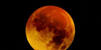 Городники пояснили, як стан місяця впливає на посадку картоплі 