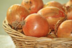 onions-1228362_1920 