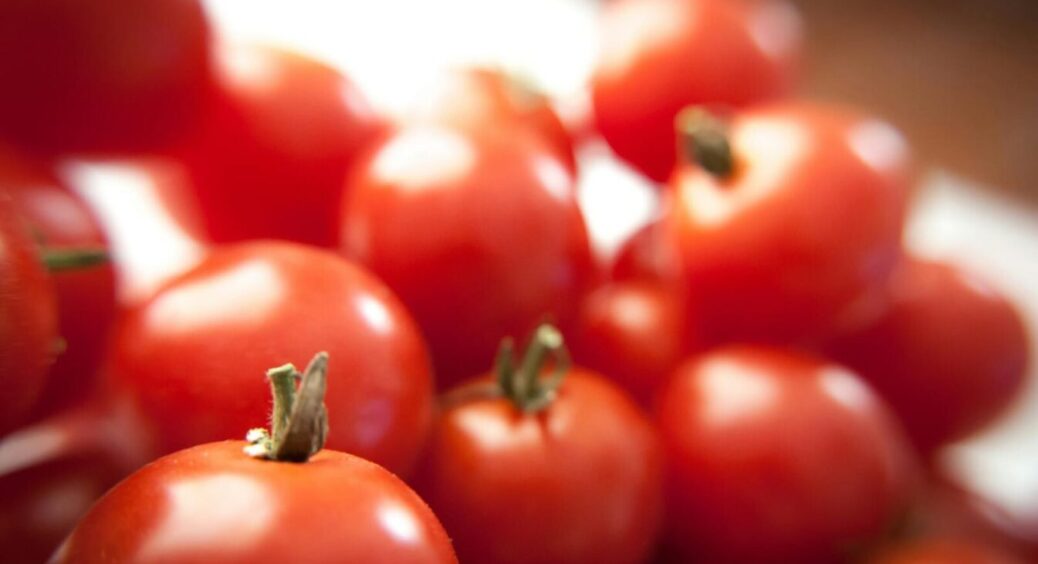 Секрет ідеальних помідорів під рукою: що посадити поруч, щоб вони стали ще смачнішими й соковитішими 