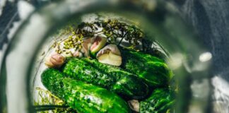 Городник розповів, як зберегти огірки свіжими до весни без консервації