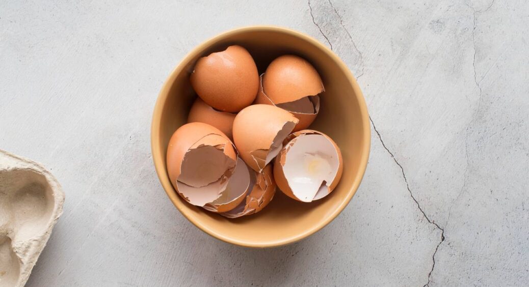 Коли смажу омлет, яєчну шкаралупу не викидаю: відправляю на город – виснажена від врожаю земля стає як “пух” 