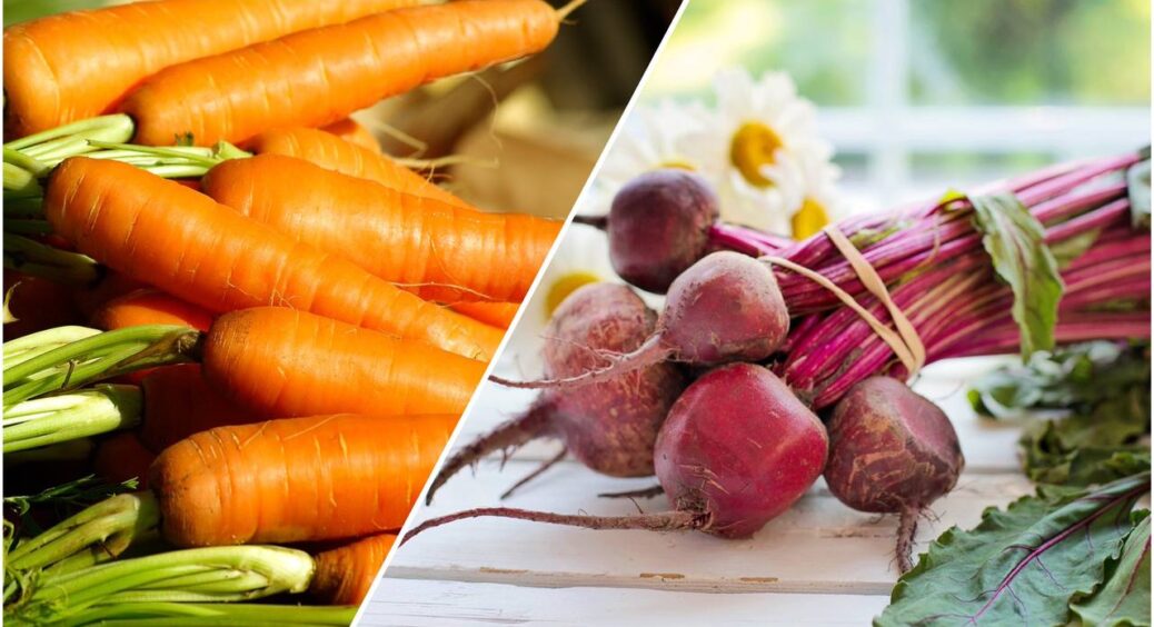 “Біле золото” для вашого врожаю: беру 1 ложку на 10 літрів води – і поливаю між рядками моркви та буряка 