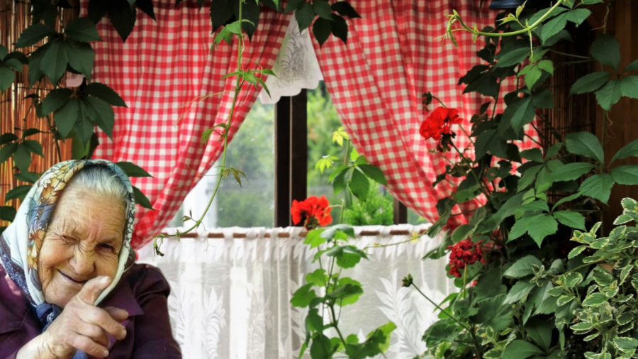 Експерти назвали 5 рослин, які зараз не модно вирощувати вдома