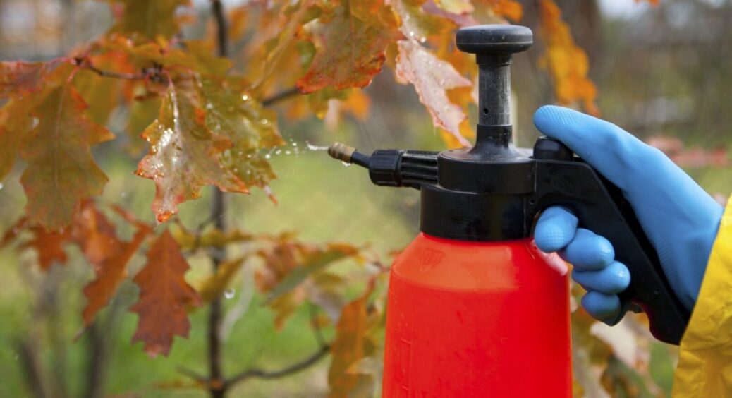 Помилки в осінній підготовці саду призвели до втрати врожаю: лише правильна “методичка” допоможе садівникам! 