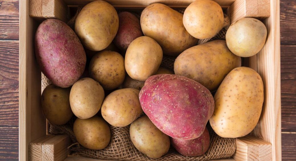 Бура гниль раптово зʼявилася на картоплі – що робити? Сусідка Галя розповіла, як швидко вирішити проблему 