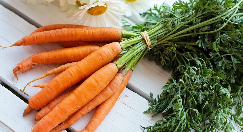 Як зберегти моркву до першого врожаю у домашніх умовах: 6 робочих способів від кмітливих дачників 