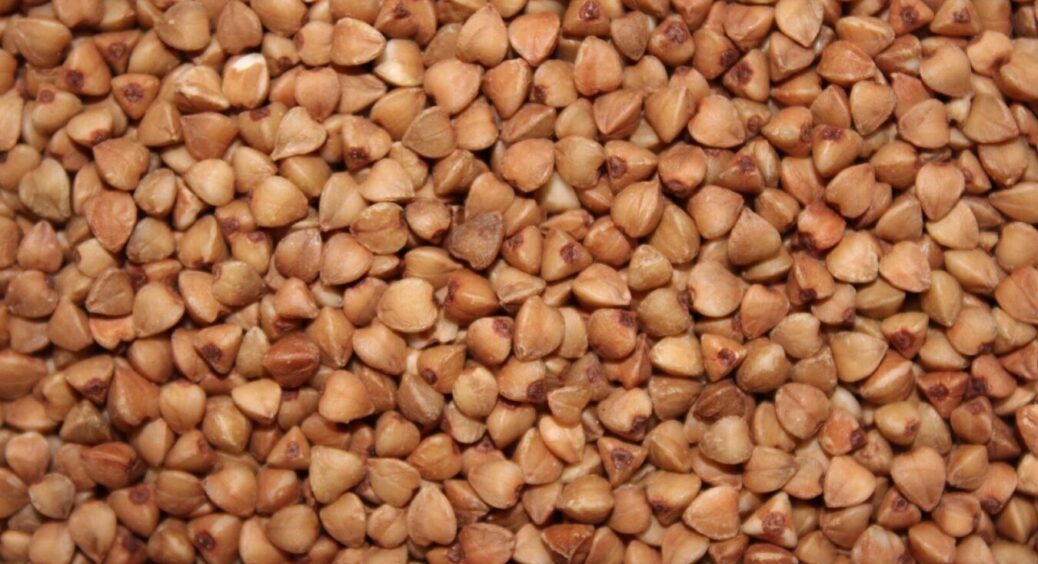 1 жменю на грядку – і врожай будете збирати відрами: просто посипте город гречкою! Цікава осіння хитрість 