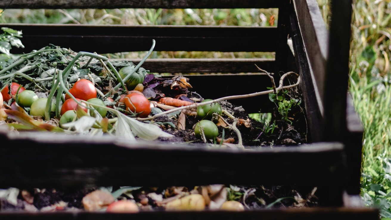 Садівники розповіли, що додати у компост, щоб він швидше дозрів