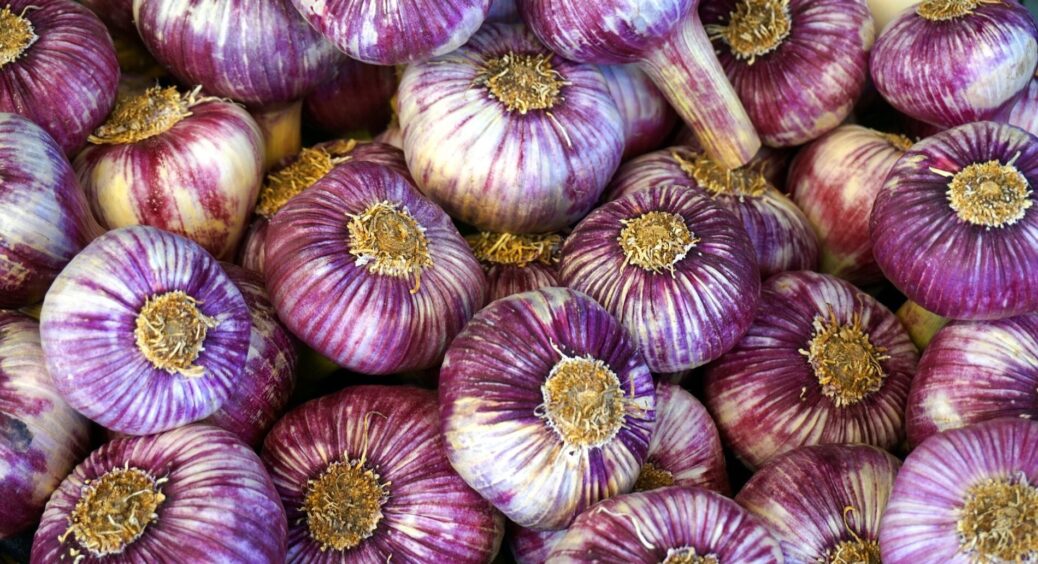 З’єднала соду з йодом для часнику – і тепер зубчики ростуть, як на дріжджах. Розкриваю свої фірмові хитрощі 