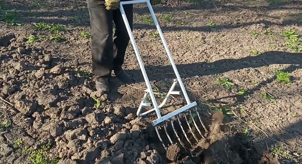 Всі кажуть “облиш”, а я все ж копаю: 3 причини, чому восени не можна відмовлятися від перекопування городу 