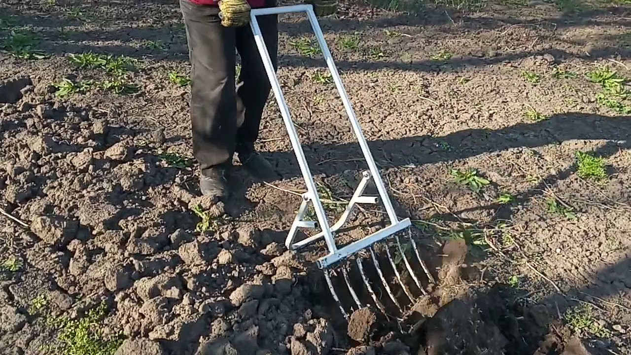 Експерти розповіли, чому слід обов'язково перекопувати город восени