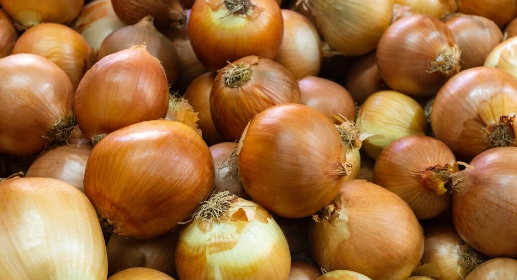 Підгодівля із цибулевого лушпиння для різних рослин: на 2 л води беру 100 г і готую чудо-настій 