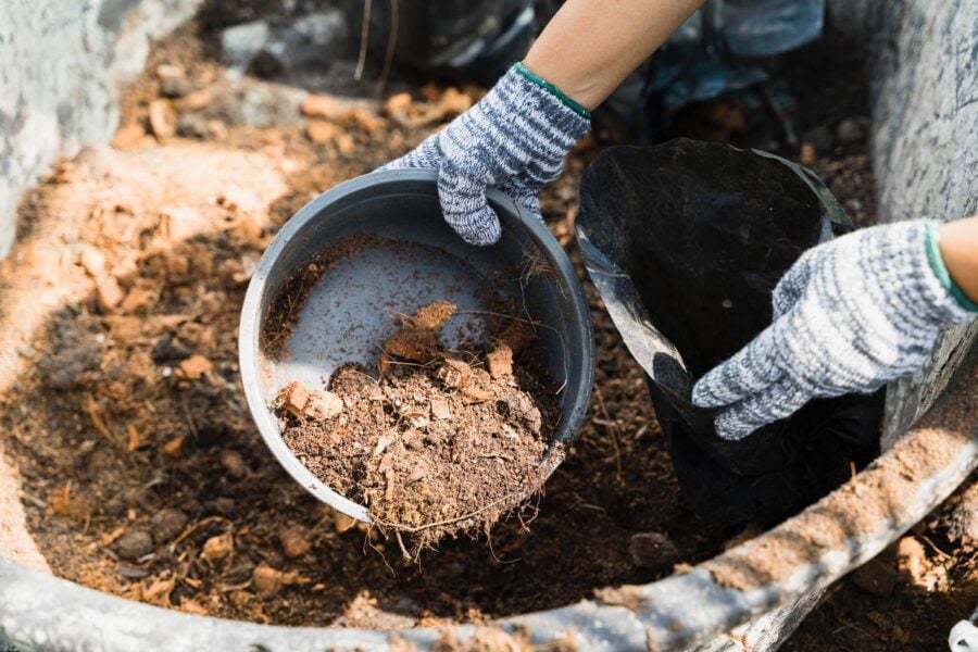 Досвідчені городники розповіли, куди подіти стару мульчу з теплиці