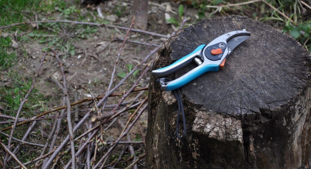 Не встигла в жовтні – навесні гризла лікті: 10 справ на городі, без яких сад після зими не дасть врожаю 