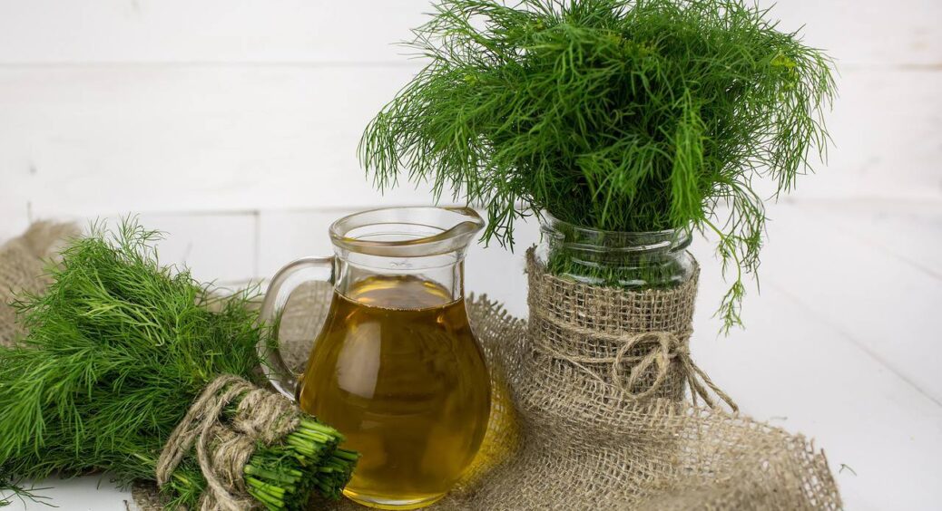 Свіжа зелень у мене є завжди! Продавчиня з ринку показала: як зберегти кріп без заморозки до Нового року 