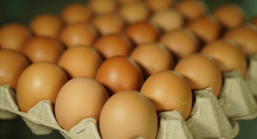 Не відходи, а золото: як правильно використовувати яєчну шкаралупу на городі та в саду – 2 дієві способи 