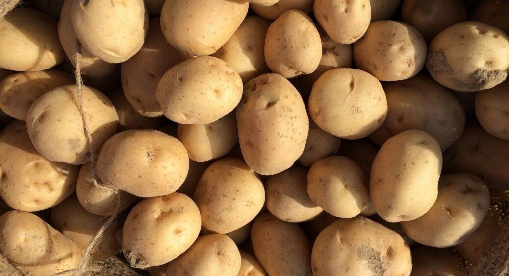 Почистив 2 картоплини – і вся родина сита: мій секрет великої картоплі, а точніше – 7 “трюків”, які працюють 