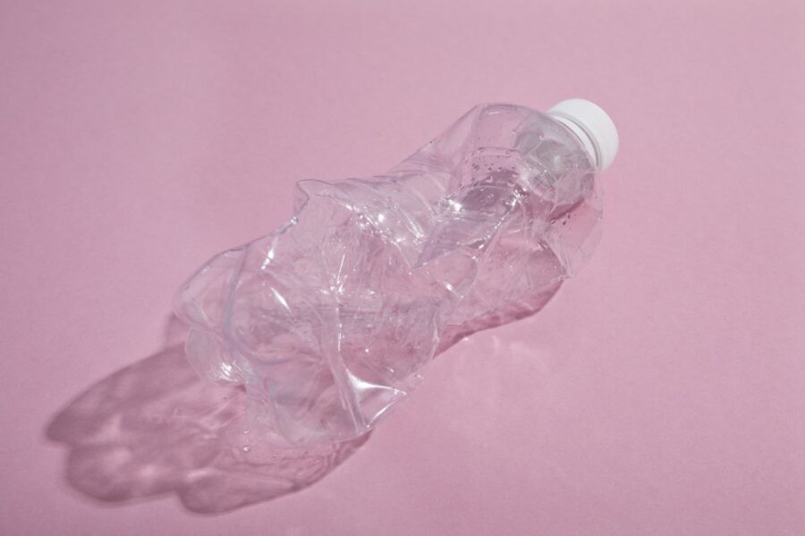 Городники поділилися надійним методом боротьби зі шкідниками на ділянці