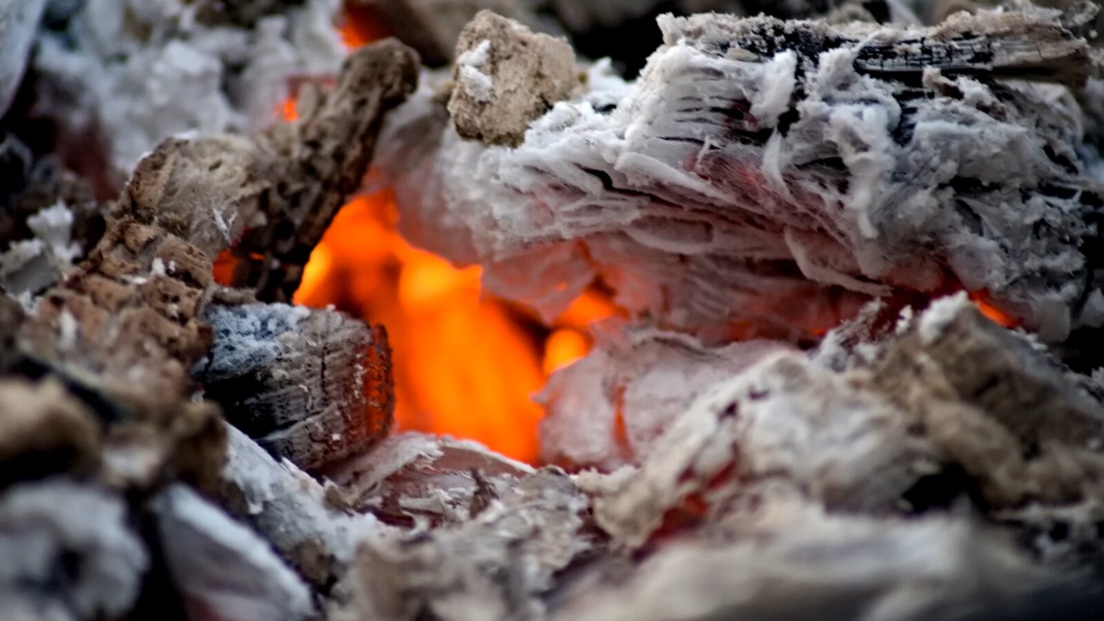 Аграрії розповіли, яке добриво варто розкидати на городі в грудні