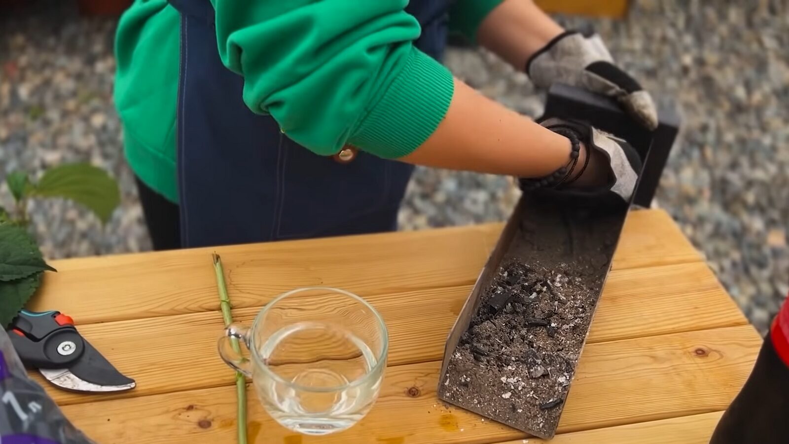 Аграрії розповіли, яке добриво варто розкидати на городі в грудні