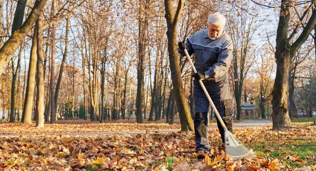 Дізналася від сусіда-фермера, які рослини обов’язково потрібно укрити на зиму, щоб вони пережили морози 