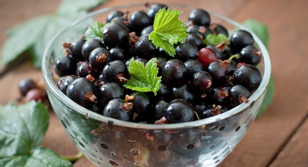 Вигода йошти в саду: чому досвідчені садівники вже не уявляють свій сад без цієї “королеви” ягід 