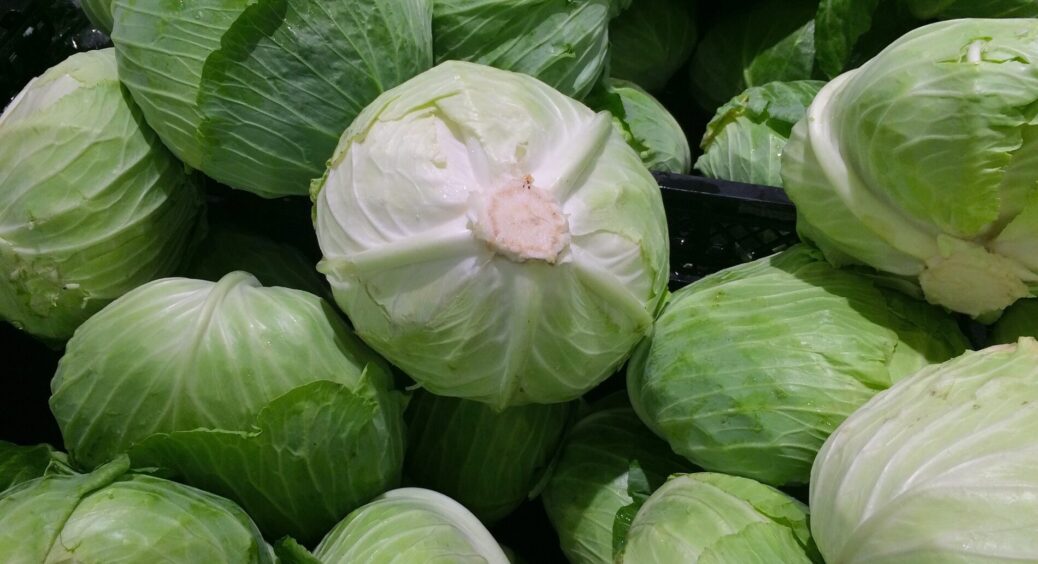 Обираю непримхливі сорти капусти – і вирощую “гігантський врожай”: купую лише ці 2 види насіння вже 10 років 