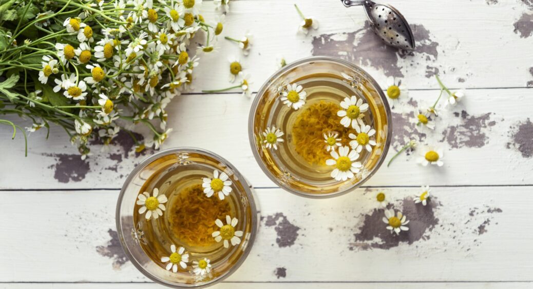 Чудодійний відвар для дерев: як підготувати фруктові сади до морозів – порада від сусідки “на вагу золота” 