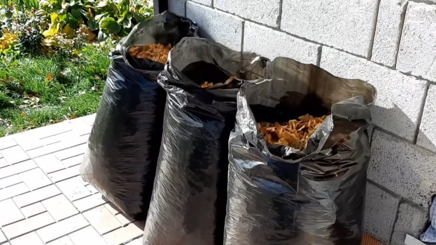 Городники розповіли, як пришвидшити розкладання листя