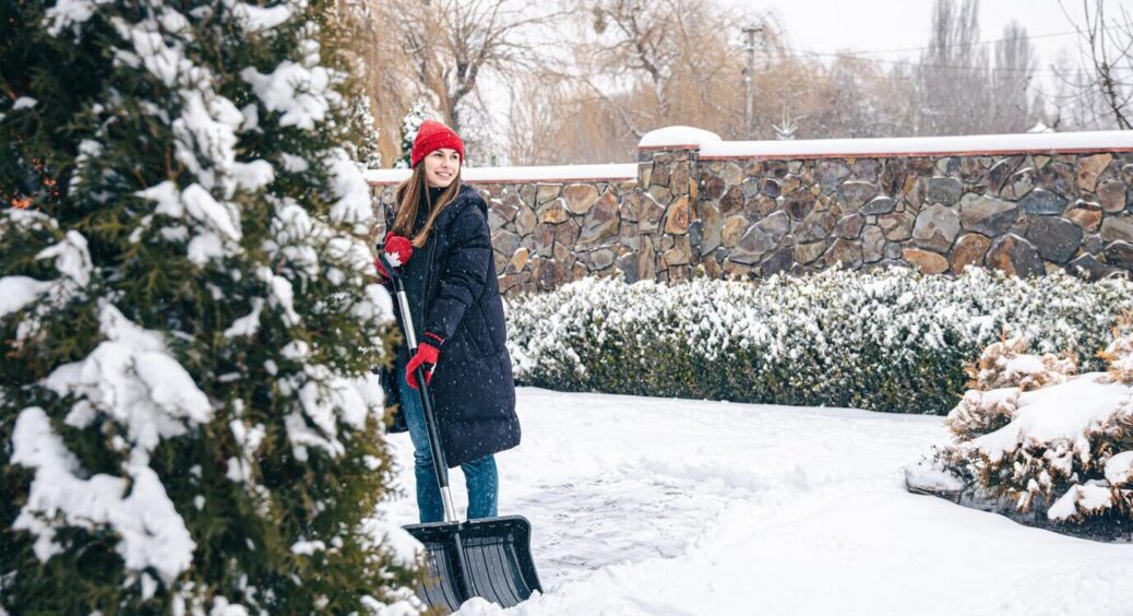 Декоративні кущі, що зберігають красу взимку: 5 найкращих варіантів для саду від ландшафтного дизайнера 