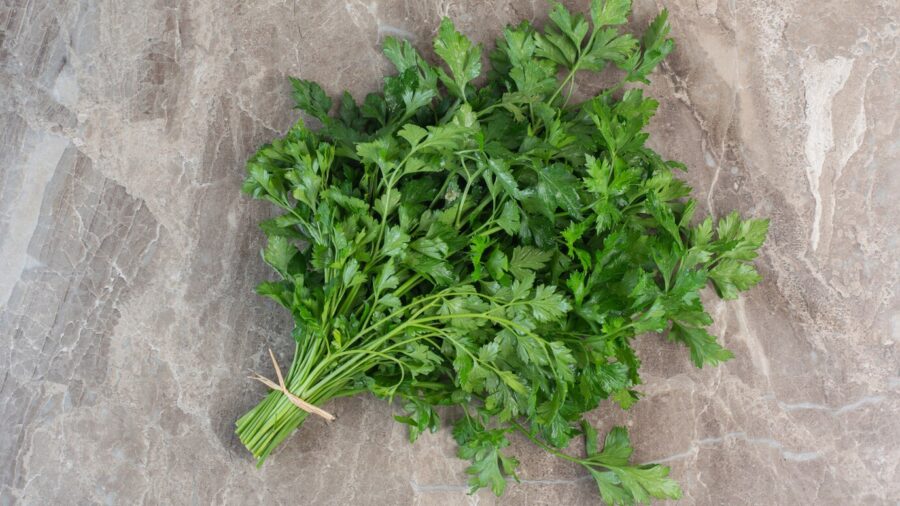 Господині пояснили, як правильно сушити петрушку на зиму