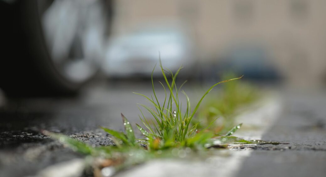 ТОП-3 засоби, які 100% є у вас на кухні приберуть бур’яни на тротуарі біля дому: бабусин секрет працює 