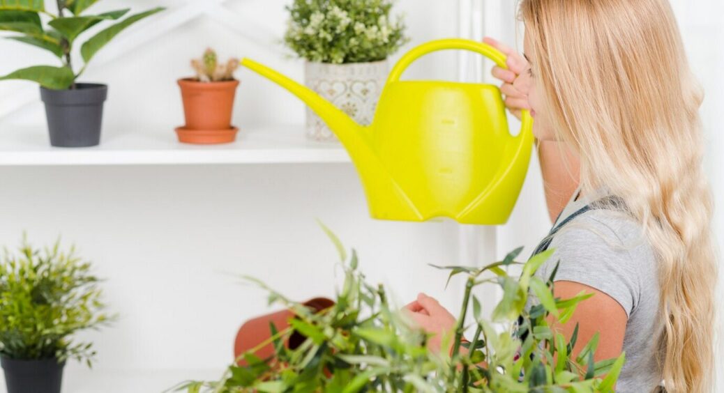 Сусідка-квітникарка пояснила, чому мої квіти “чахнуть”: поливала часто і потроху – а так робити не можна 