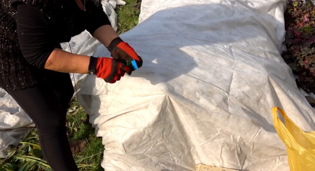 Вкривала рослини в тому році “цим”, і все зачахло: 3 “покривала”, які не годяться для зимування 