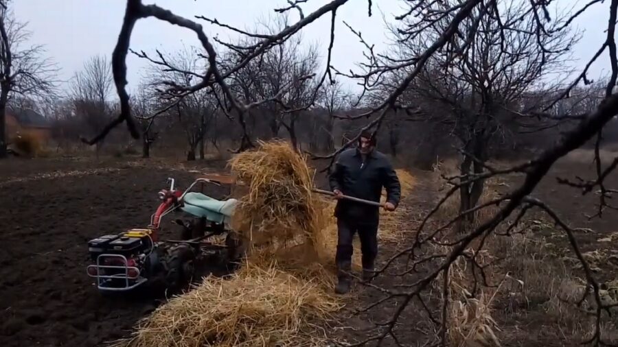 Як підготувати рослини в саду до морозів