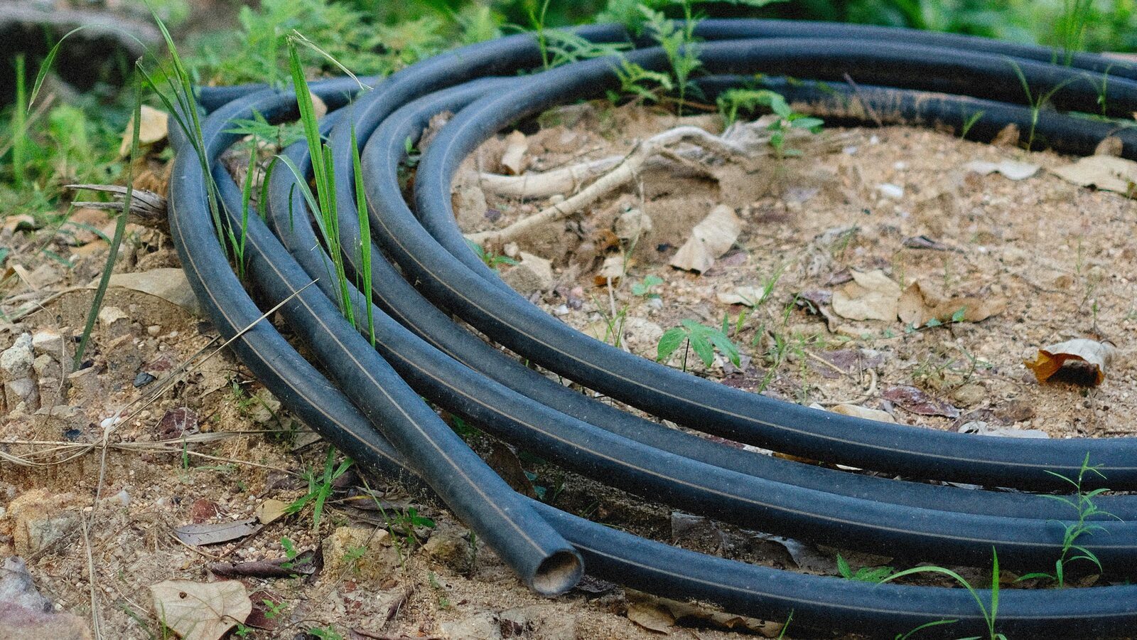 Городники розповіли про способи застосування старого шлангу