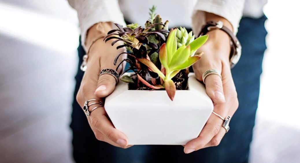 Ці “штучки” врятували мої квіти, коли я поїхала у відрядження на 2 тижні: навіть сусідку не просила поливати 