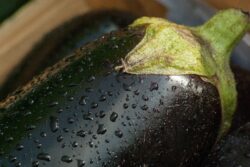 vegetable-1707593_1920 