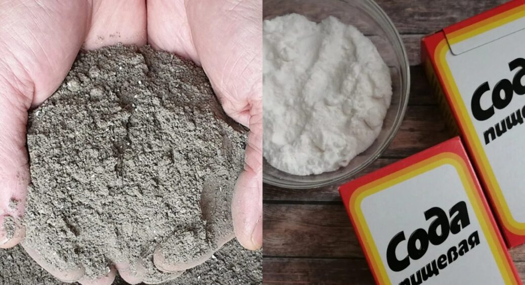 Зола стане в 10 разів ефективнішою, якщо змішати її з “цим”: готове добриво буде дорожчим за скарб 