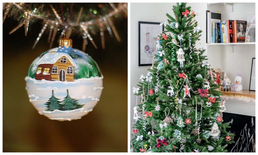 Які рослини можуть замінити новорічну ялинку