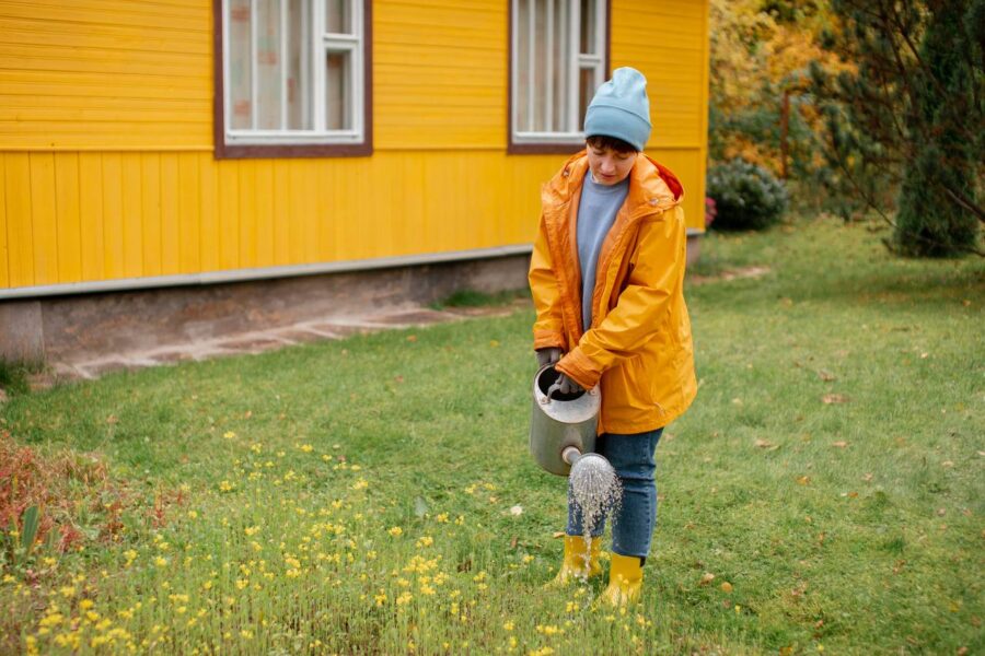 Досвідчені городники розповіли, як правильно підготувати сад до зими