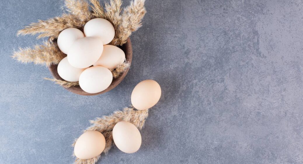 Так збирати чи ні? Одні кажуть, що яєчна шкаралупа для городу – “золото”, інші – проти такого добрива 