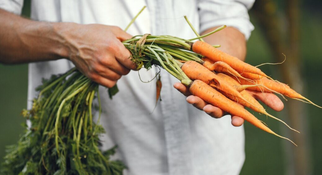 Моя бабуся ще 30 років тому знайшла простий метод зберігання моркви без піску: лайфхак, перевірений часом 