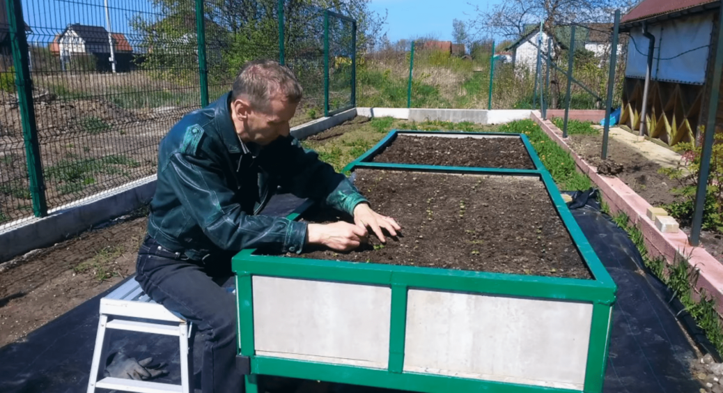 “Вічні грядки”: у селі вже 3 роки роблять такі. Подивилася на город куми і вирішила повторити у себе на дачі 