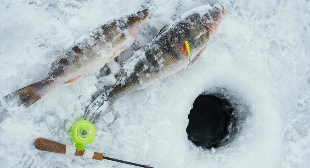 Тесть покликав на зимову рибалку і пообіцяв “жирний” улов: прийом з 2 лунками змусить клювати велику рибу 